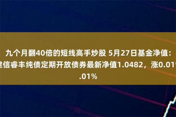 九个月翻40倍的短线高手炒股 5月27日基金净值：建信睿丰纯债定期开放债券最新净值1.0482，涨0.01%