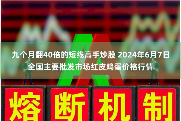 九个月翻40倍的短线高手炒股 2024年6月7日全国主要批发市场红皮鸡蛋价格行情